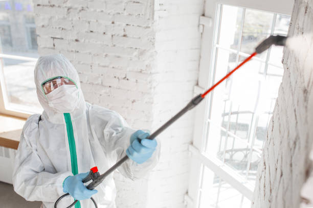 Mold Remediation for Vacation Homes in Upland, CA